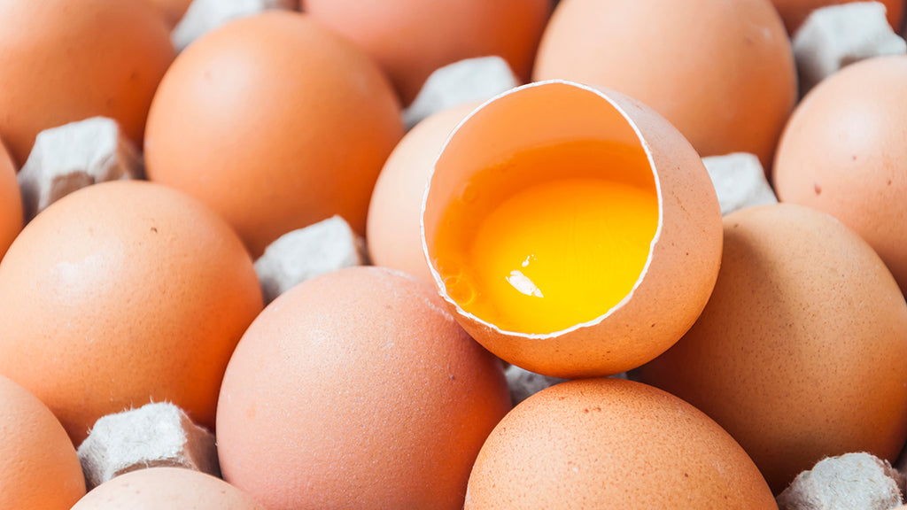 10 Health Benefits of Farm Fresh Eggs